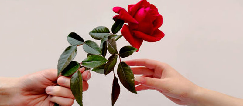 饾樉饾櫎饾櫍饾櫅饾櫄饾櫒饾櫈贸饾櫍 饾櫃饾櫄 饾櫀饾櫌饾櫎饾櫑.